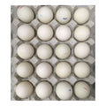 Fresh Duck Eggs 20P/TRAY