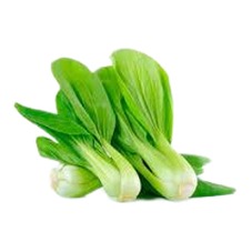 Fresh Chinese Cabbage 1BAG