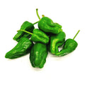 Fresh Tiger Pepper 1BAG