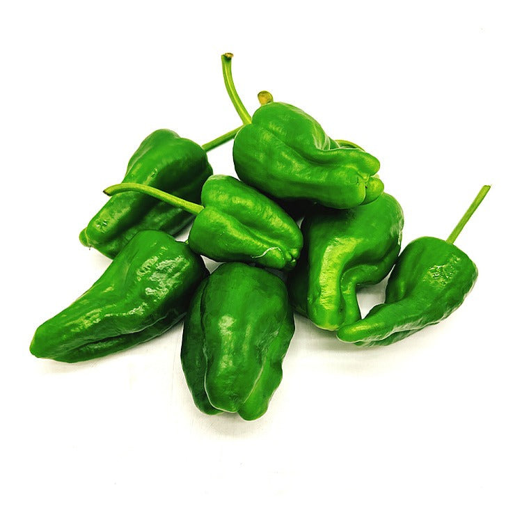 Fresh Tiger Pepper 1BAG