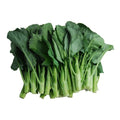 Fresh Chinese Broccoli 1BAG