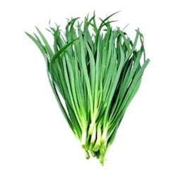 Fresh Chinese Chives 1BAG