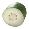 Fresh Wax Gourd 1BAG