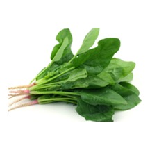 Fresh Spinach 1BAG