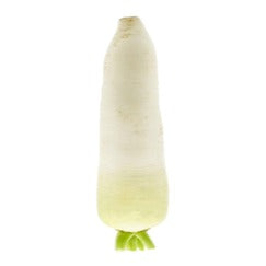 Fresh White Radish (Each)