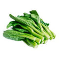 Fresh Green Cabbage 1BAG