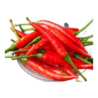 Fresh Red Chill 1BAG