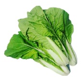 Fresh Small Cabbage 1BAG