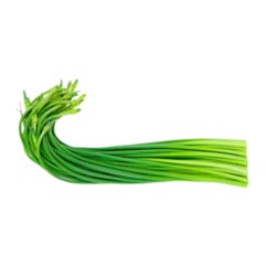 Fresh Garlic Sprout (Tie)