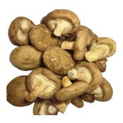 Fresh Fresh Mushroom 1BAG