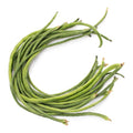 Fresh Long Bean 1BAG
