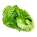 Fresh Mustard Greens 1BAG