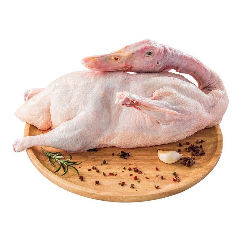 Frozen Duck Whole (Each)
