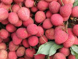 Fresh Lychee